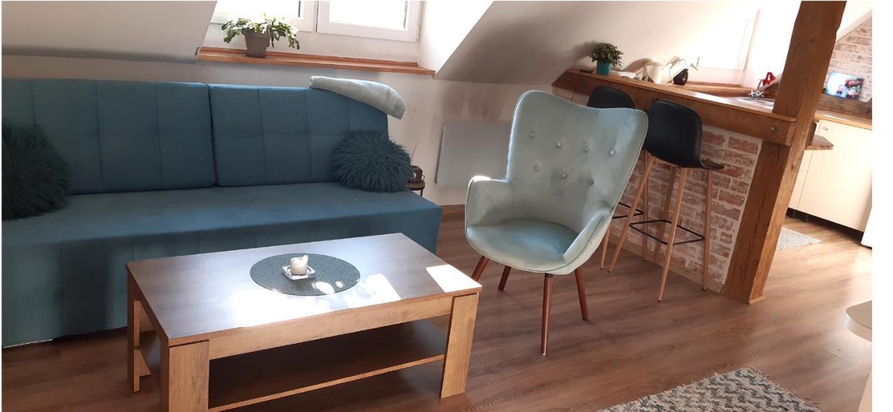 Urocze Studio Z Klimatem W Centrum Legnicy Legnica Eksteriør billede
