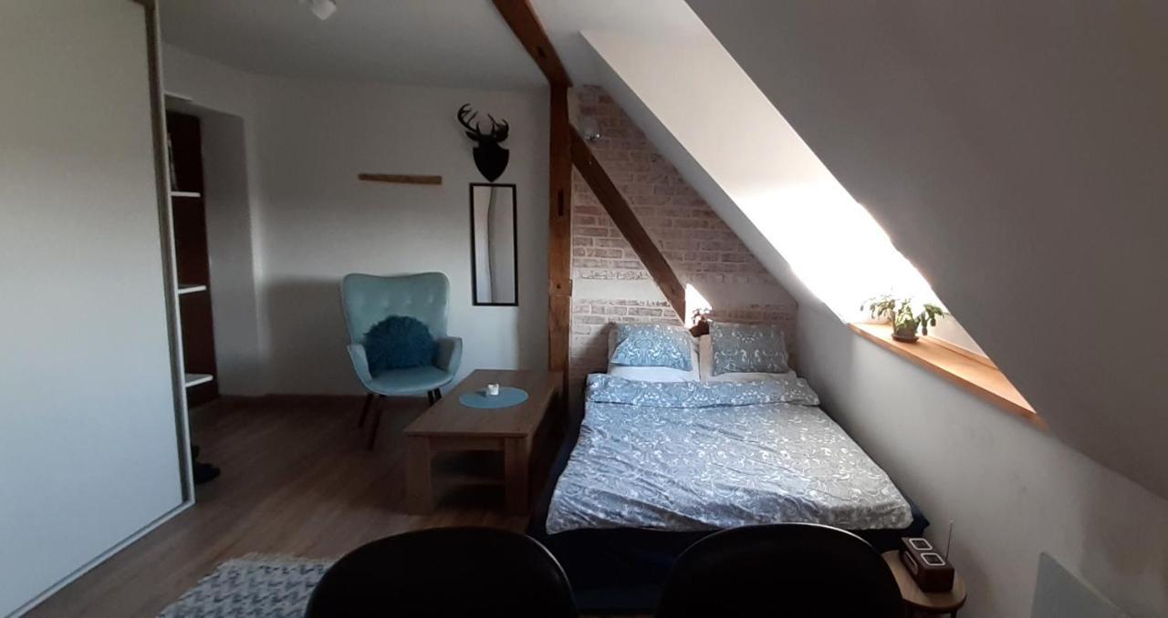 Urocze Studio Z Klimatem W Centrum Legnicy Legnica Eksteriør billede