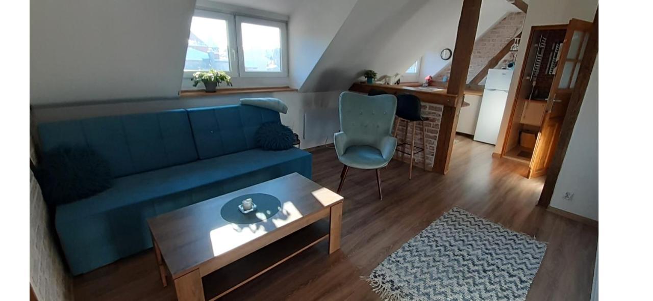 Urocze Studio Z Klimatem W Centrum Legnicy Legnica Eksteriør billede